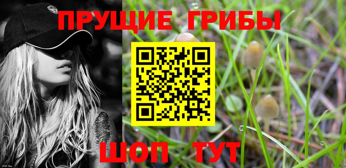Елец  Галлюциногенные грибы Psilocybine cubensis  Вход с VPN  Псилоцибиновые грибы ЛСД 