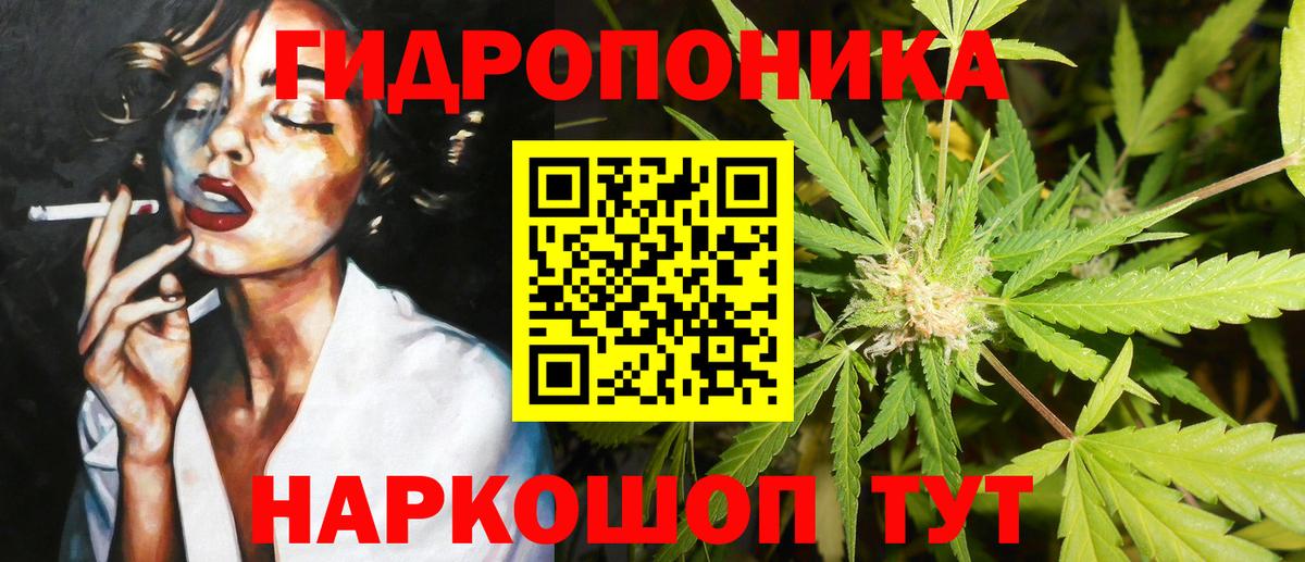 МЕФ Елец